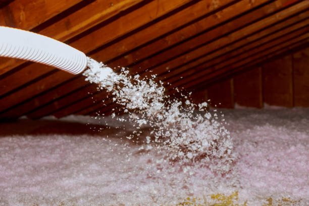 Best Insulation for Specific Applications in Lely Resort, FL