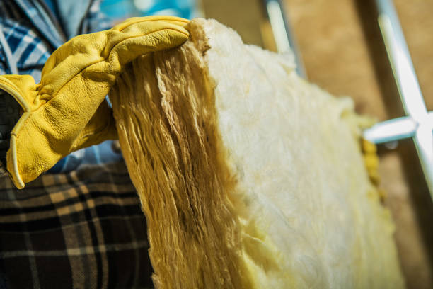 Best Types of Insulation in Lely Resort, FL